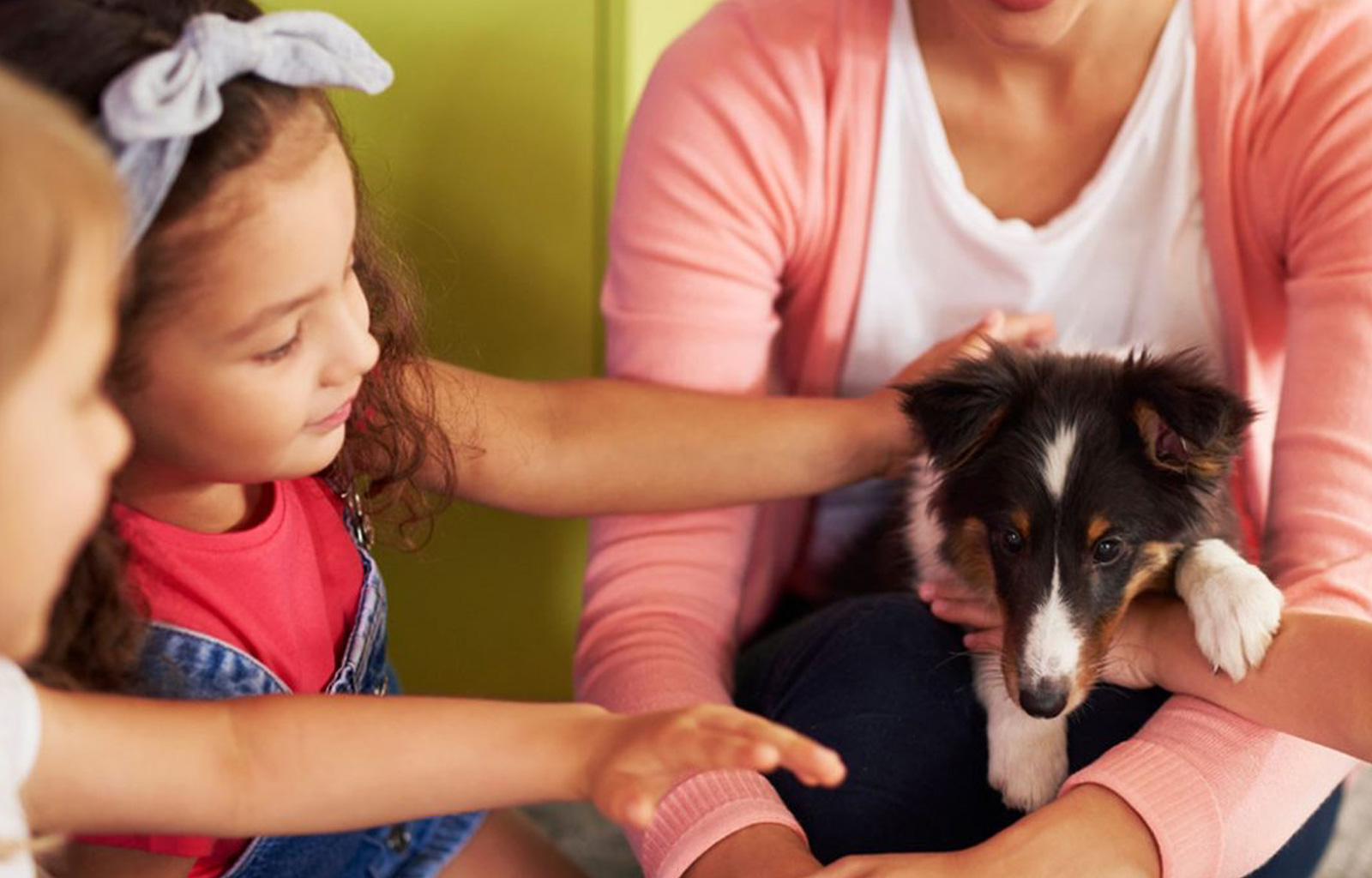 Uno sguardo alla pet therapy