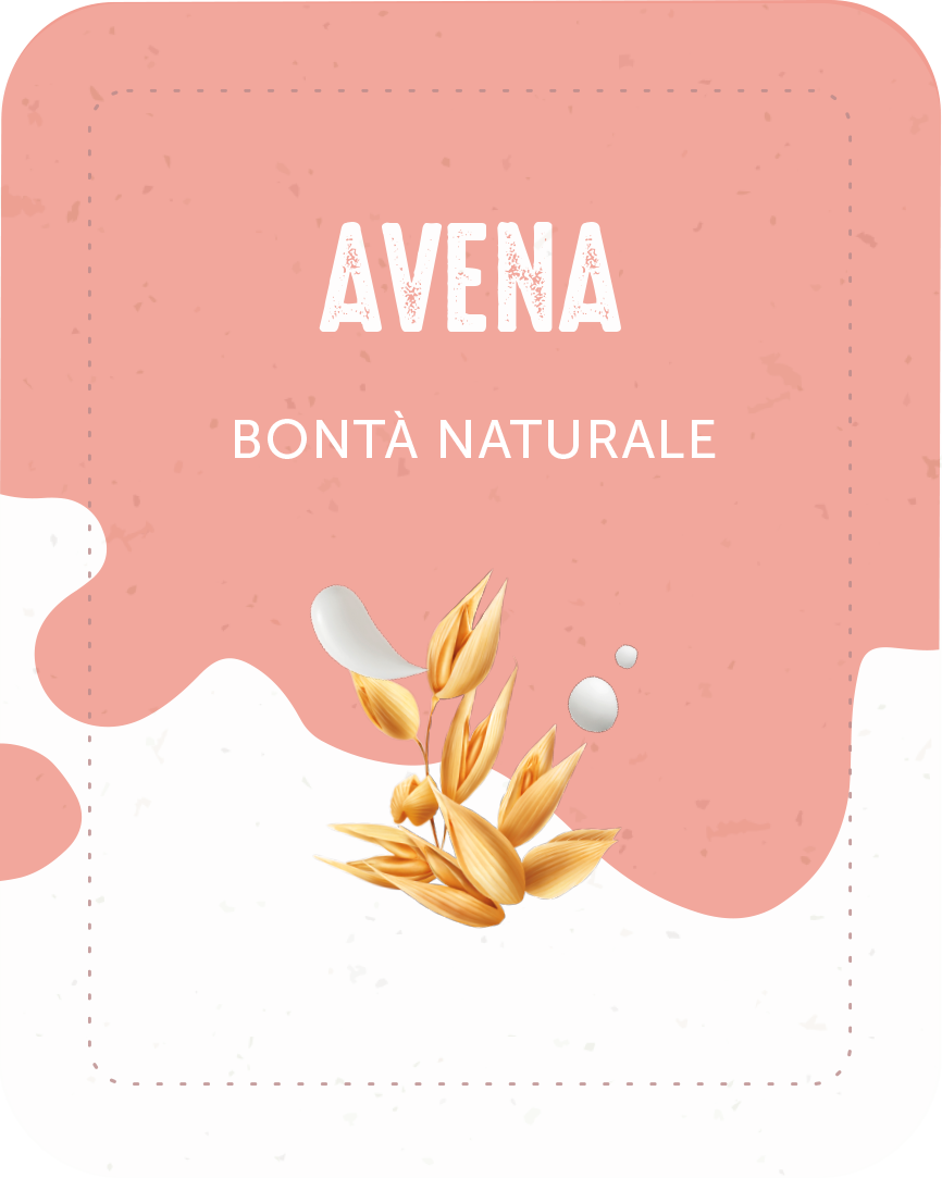 Avena