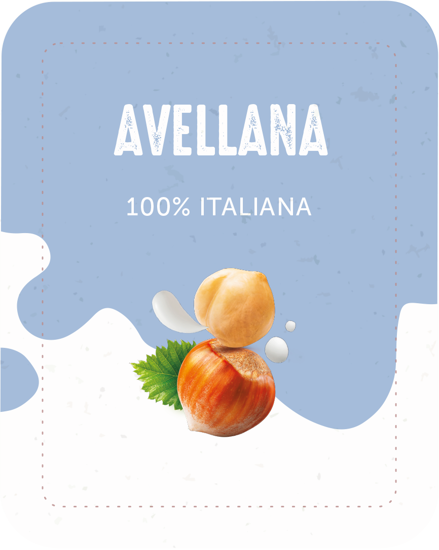 AVELLANA