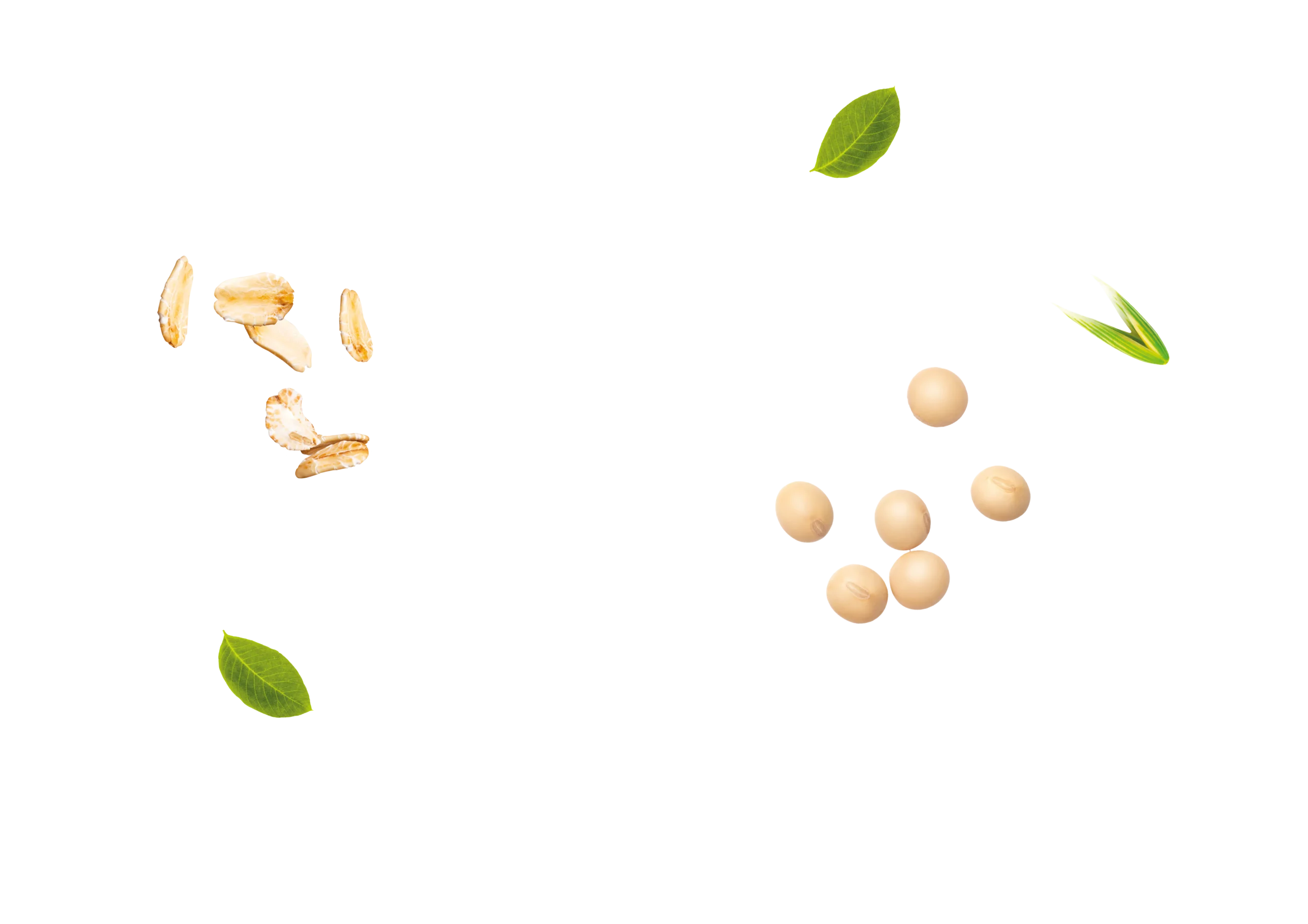 https://orasivegetale.com/wp-content/uploads/2025/07/parallax-lv-2-scaled.webp
