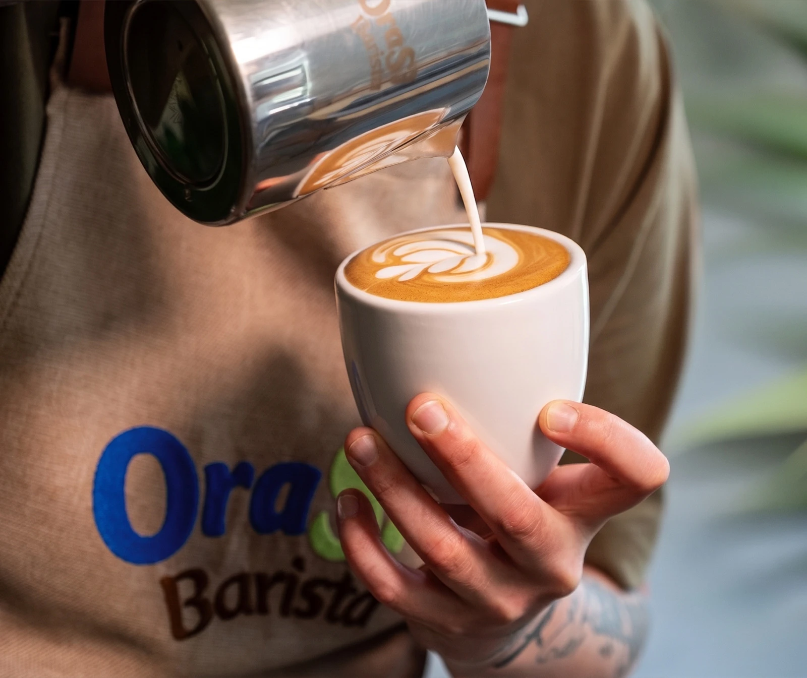 barista-home