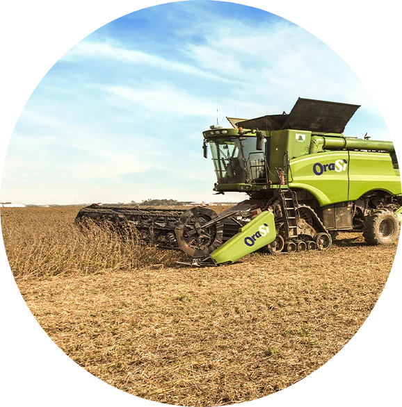 We cultivate our soy right here, in Emilia Romagna.
