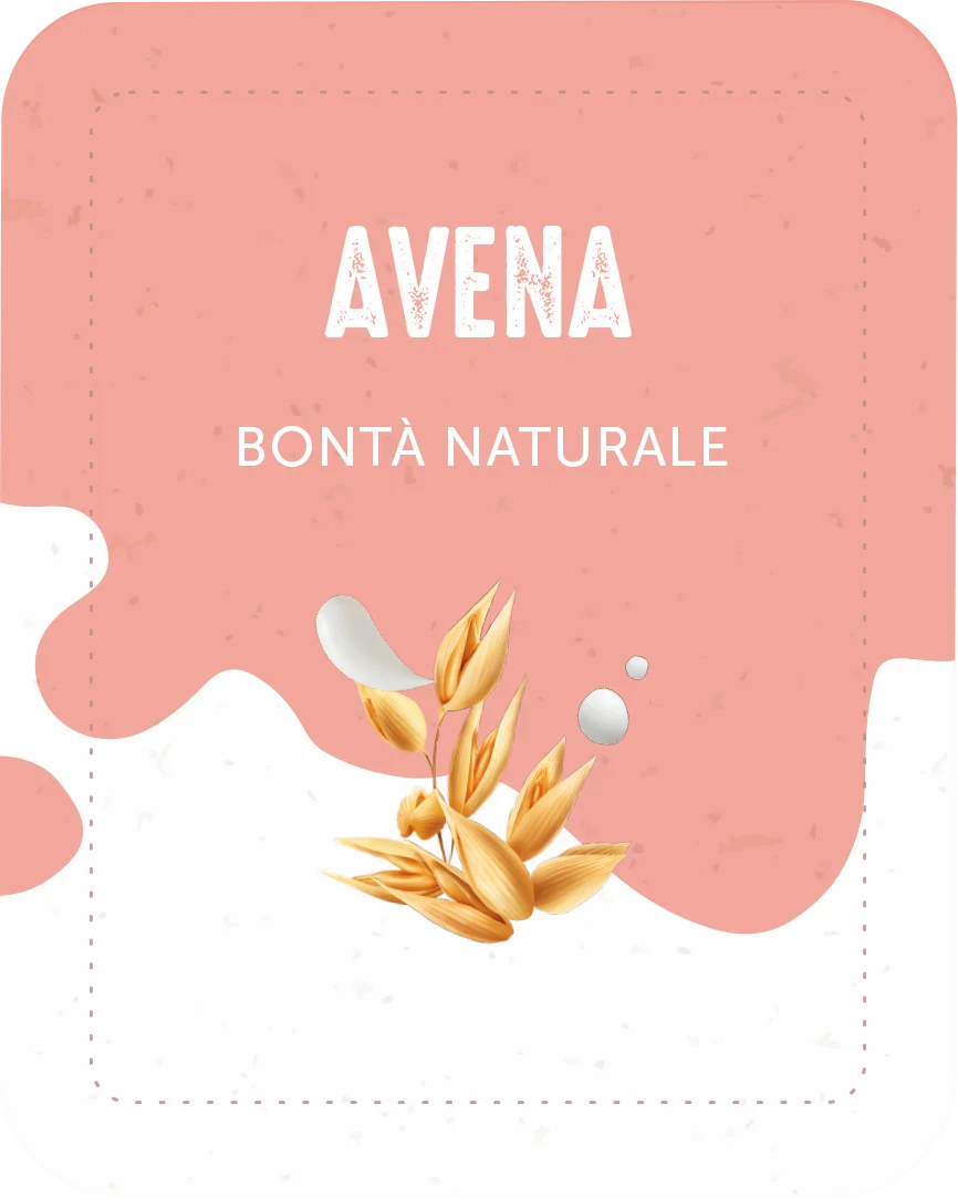 Avena