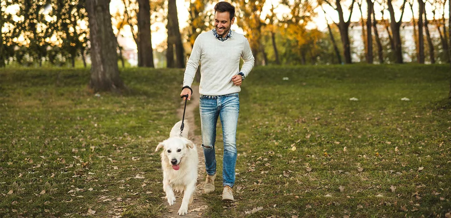 Una passeggiata con Fido migliora la vita