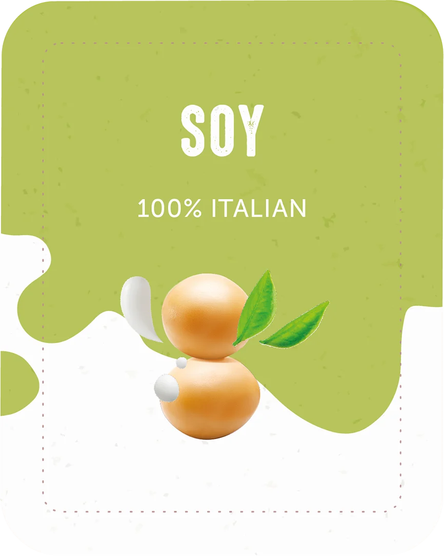 Soy