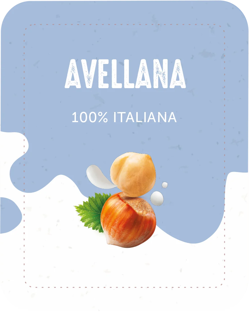 AVELLANA