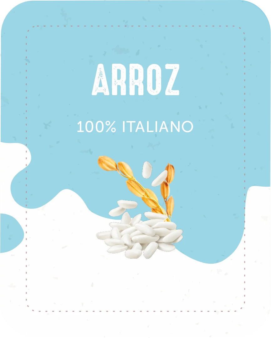 ARROZ