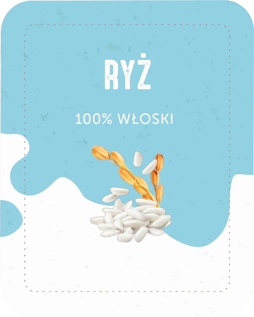 RYŻ