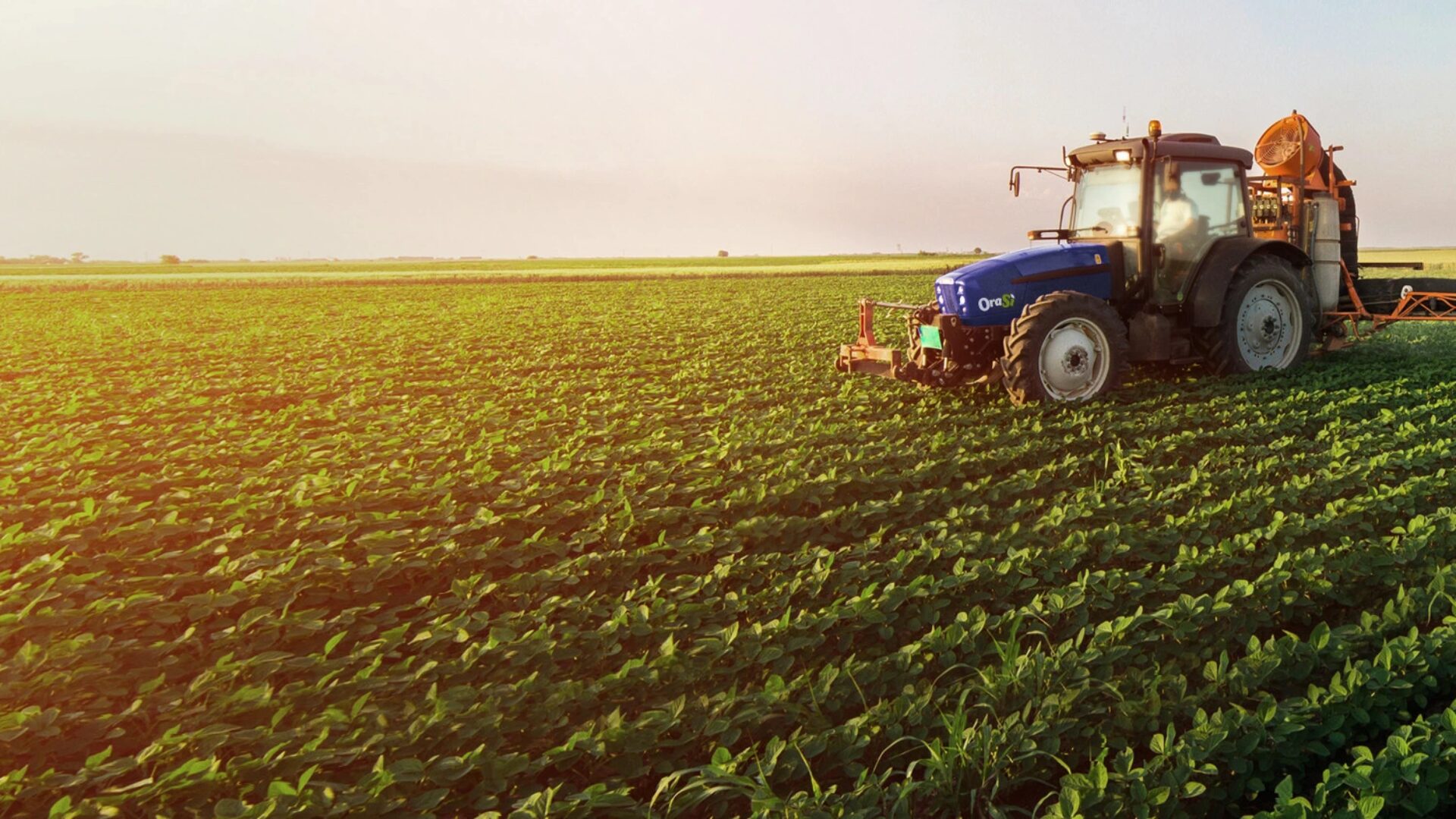 http://Tractor%20OraSì%20trabajando%20en%20un%20amplio%20campo%20de%20cultivo%20de%20soya%20al%20atardecer,%20representando%20el%20compromiso%20con%20la%20agricultura%20sostenible.