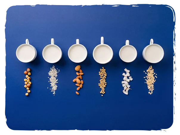 I nostri ingredienti